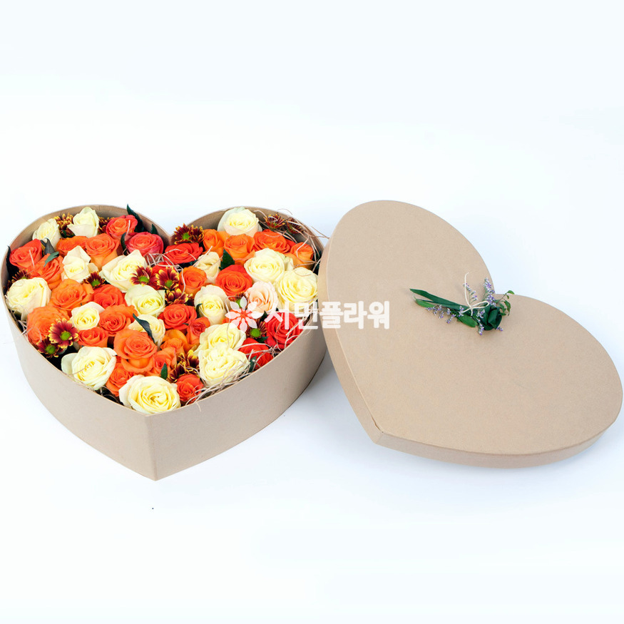 상세이미지