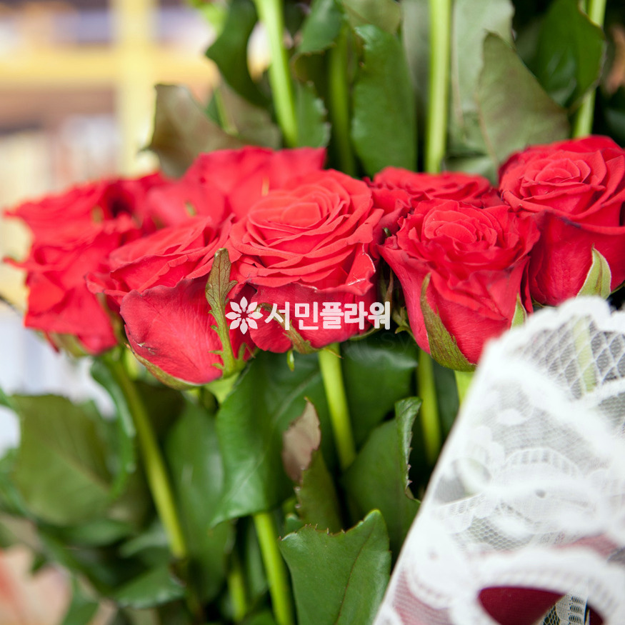 상세이미지