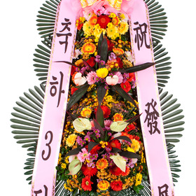 축하3단 프리미엄