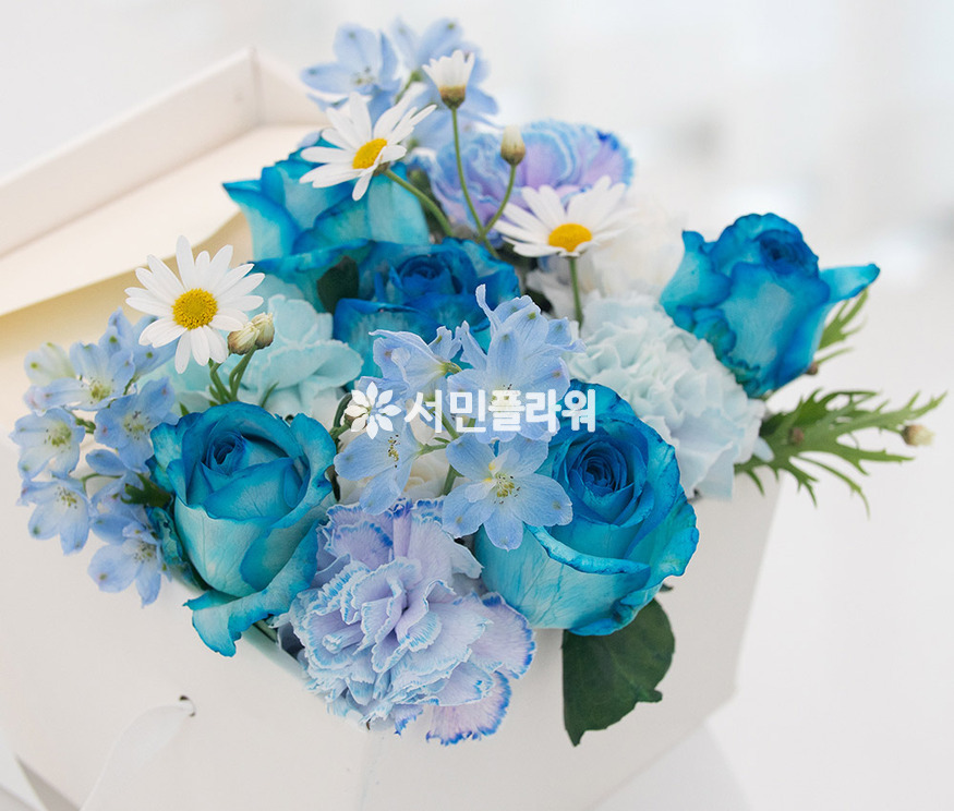 상세이미지