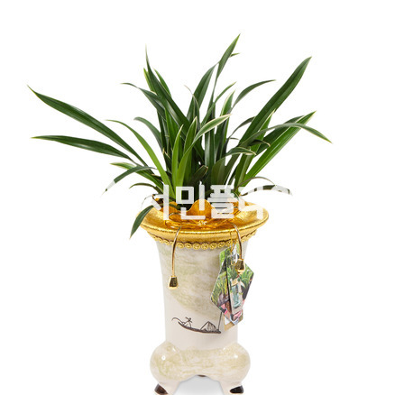 고급분대국 355e