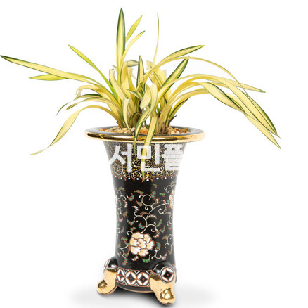 황금강(명품도자기)