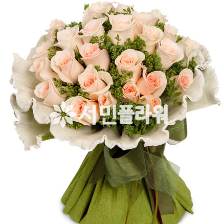부르트