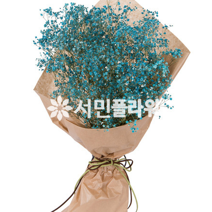 파란안개다발