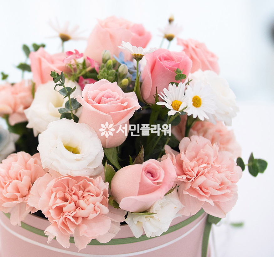 상세이미지