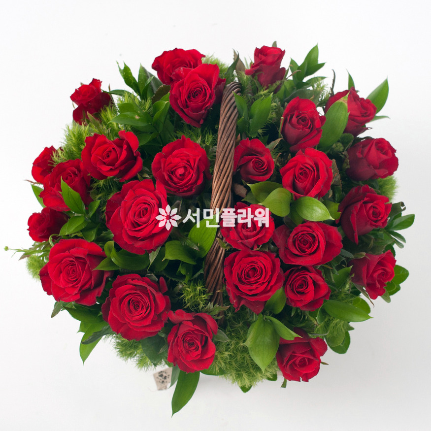 상세이미지