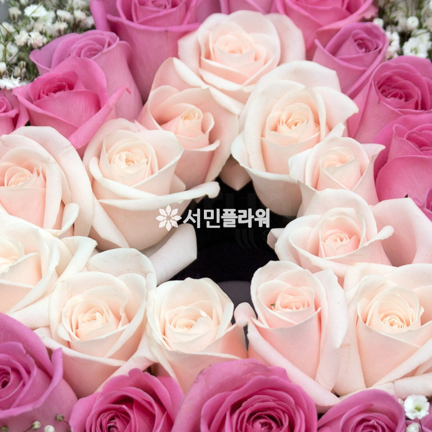 상세이미지