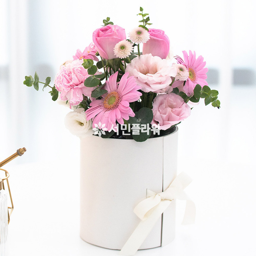 상세이미지