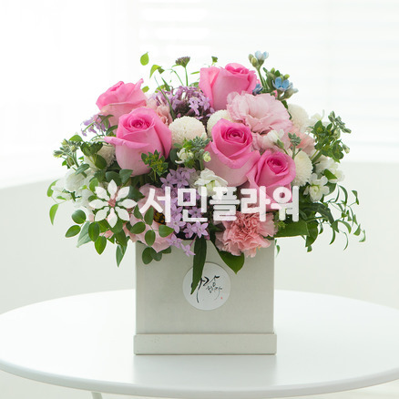 에이핑크