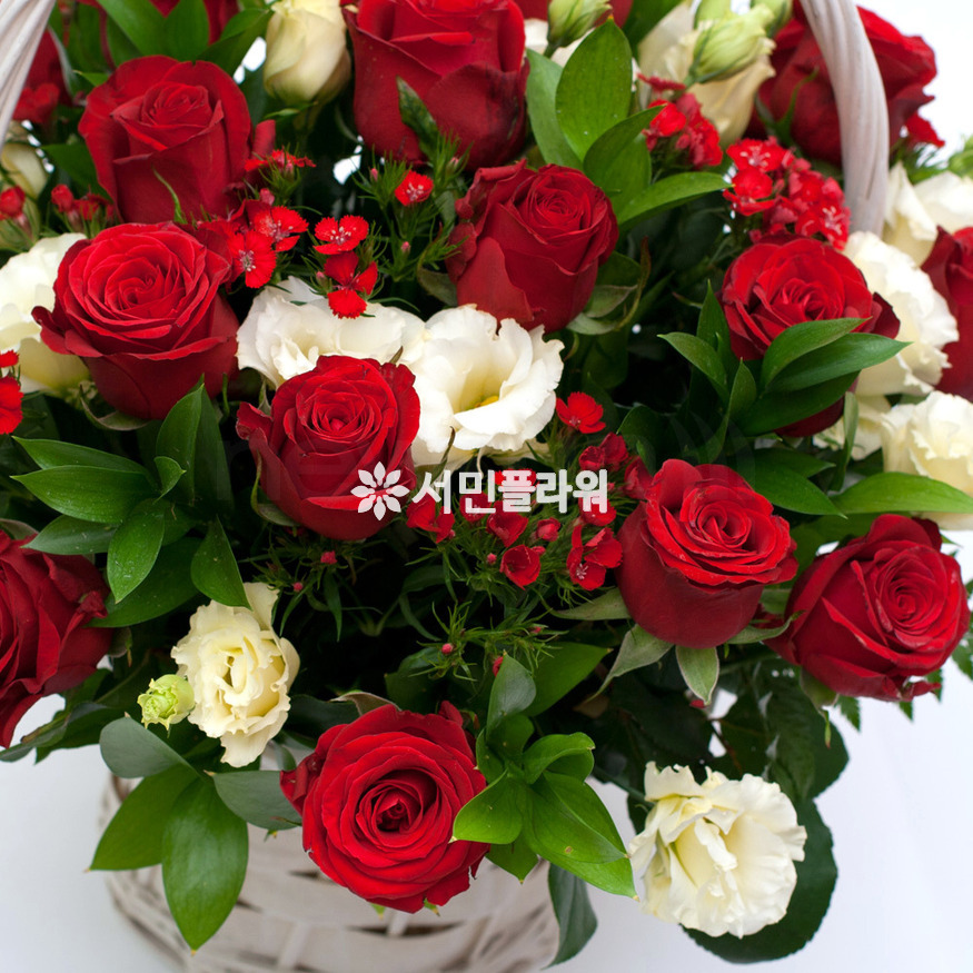 상세이미지