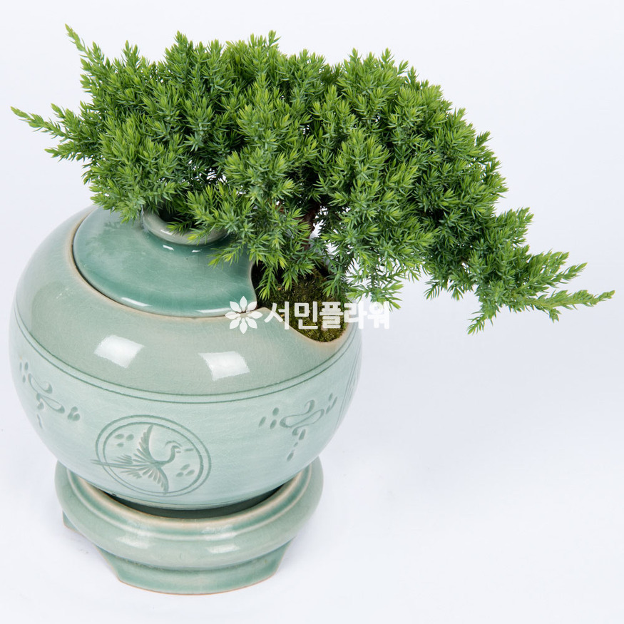 상세이미지