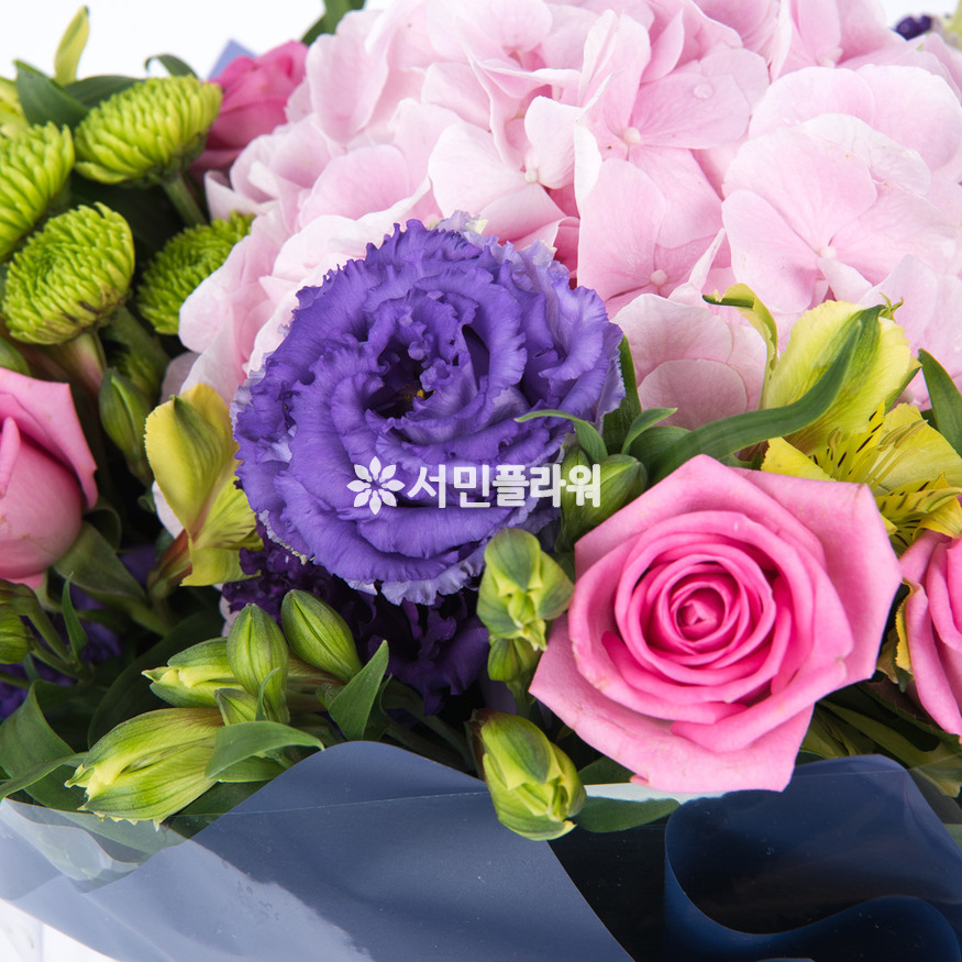 상세이미지