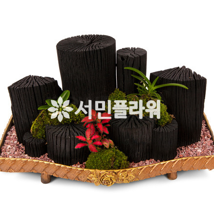 숯부작